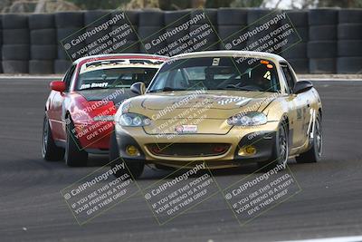 media/Jan-25-2025-CalClub SCCA (Sat) [[03c98a249e]]/Race 4/